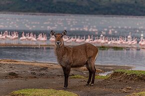 Mbweha Camp Lake Nakuru