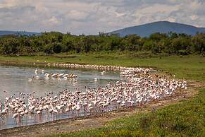 Mbweha Camp Lake Nakuru
