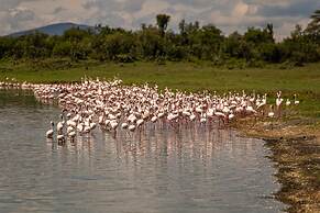 Mbweha Camp Lake Nakuru