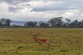 Mbweha Camp Lake Nakuru