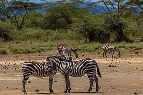 Mbweha Camp Lake Nakuru