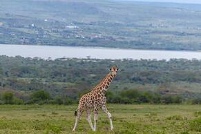 Mbweha Camp Lake Nakuru
