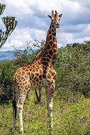 Mbweha Camp Lake Nakuru