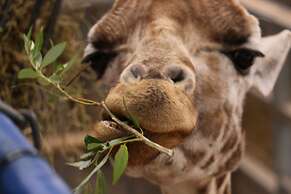 Howarth House Apartments