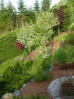 Panorama Bed and Breakfast