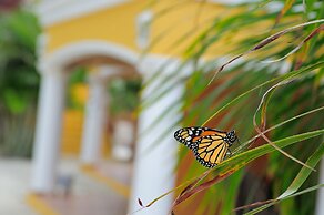 Djambo Apartments - Adults Only