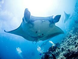 TME Retreats Dhigurah