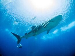 TME Retreats Dhigurah