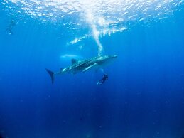 TME Retreats Dhigurah