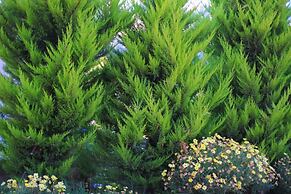 Palm Bay Beach Hotel