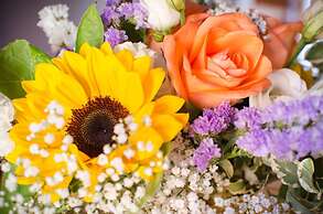 Agriturismo Ca' de' Gatti