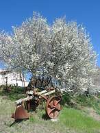 Agriturismo Ca' de' Gatti