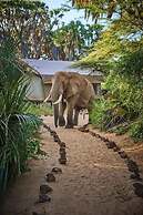 Elephant Bedroom Camp