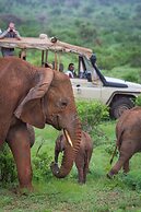 Elephant Bedroom Camp