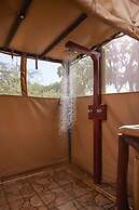 Elephant Bedroom Camp