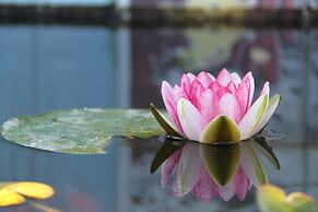 Residence Villa Patrizia