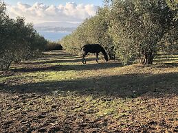 Quinta do Tagus Village