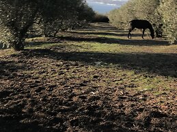 Quinta do Tagus Village