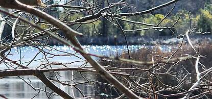 The White House on Freedom Way