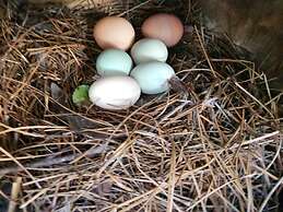 The White House on Freedom Way