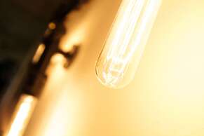 Mr Lobster's Secret Den Design Hostel