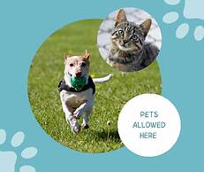 Camping le Palme - Campground