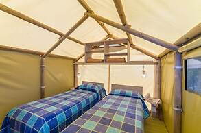 Camping le Palme - Campground