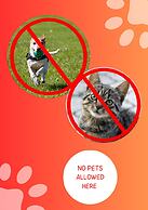 Camping le Palme - Campground