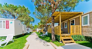 Camping le Palme - Campground