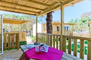 Camping le Palme - Campground