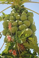 Seasons Lodge Zanzibar