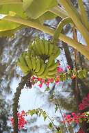 Seasons Lodge Zanzibar