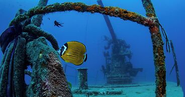 The Tarna Resort, Koh Tao