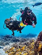 Blue Marlin All-Inclusive Seascape by Dream Resorts