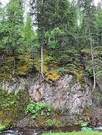 Whitetail Creek Resort