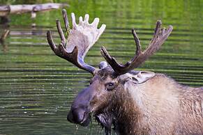 Chena Hot Springs Resort