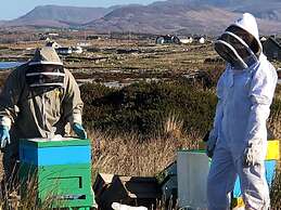 Connemara Sands Beach Hotel & Spa