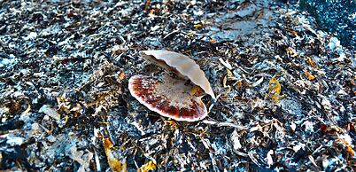 Connemara Sands Beach Hotel & Spa