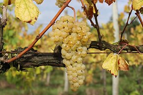 Casas do Monte de Roques