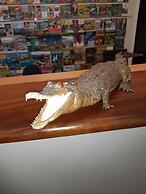 Travellers Paradise Heritage Historical Place - Hostel