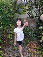 Travellers Paradise Heritage Historical Place - Hostel