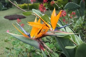 Bunyonyi Safaris Resort