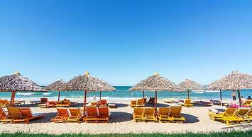 Garden Aroma Homestay Hoi An