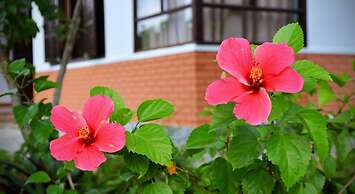 Garden Aroma Homestay Hoi An