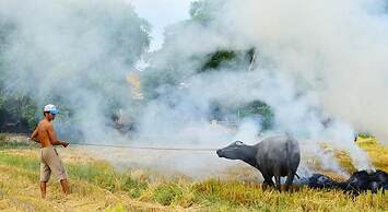 Garden Aroma Homestay Hoi An