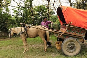 Chitwan Safari Camp & Lodge