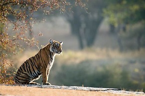 Chitwan Safari Camp & Lodge