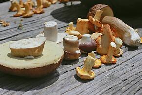 Montanema Handmade Village