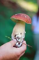 Montanema Handmade Village