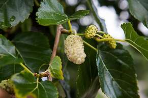 Montanema Handmade Village